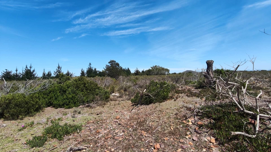 3 Bedroom Property for Sale in Aalwyndal Western Cape